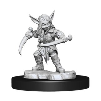 WizKids Critical Role Unpainted Miniatures: W1 Goblin Sorceror and Rogue Female