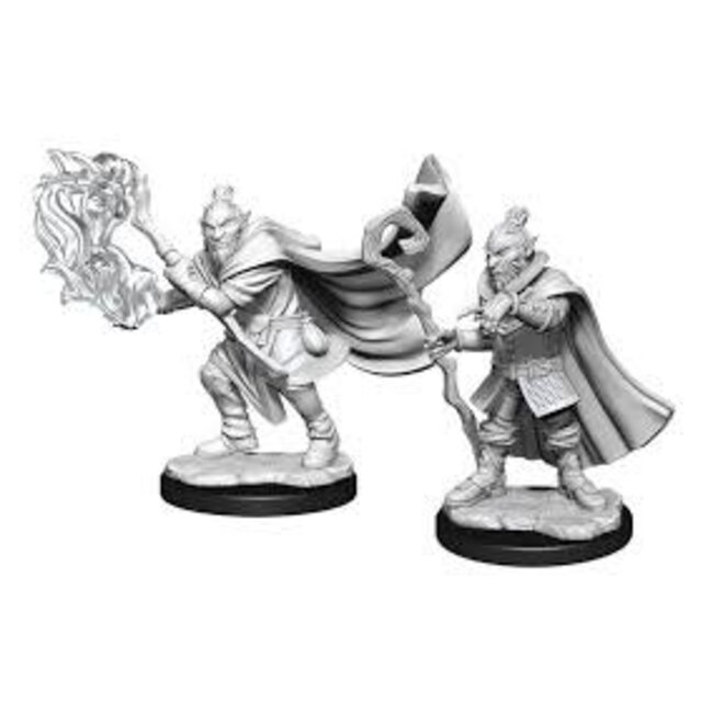 Critical Role Unpainted Miniatures: W1 Hobgoblin Wizard and Druid Male