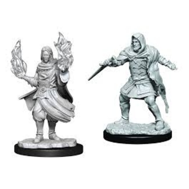 Critical Role Unpainted Miniatures: W1 Hollow One Rogue and Sorceror Male