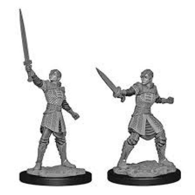 Critical Role Unpainted Miniatures: W1 Human Dwendalian Empire Fighter Female