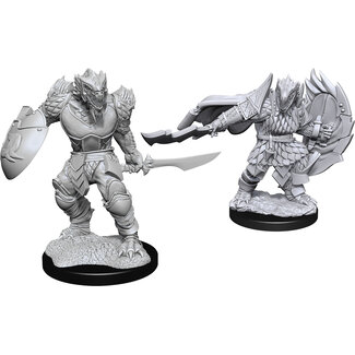 WizKids Dragonborn Fighter Male W15