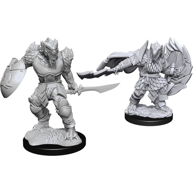 Dragonborn Fighter Male W15