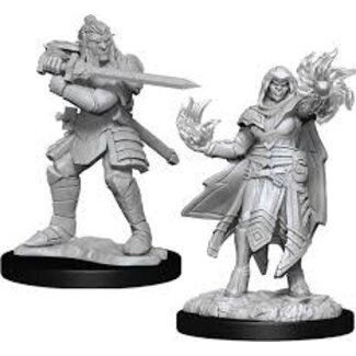 WizKids Hobgoblin Fighter & Hobgoblin Wizard W15