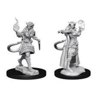 WizKids Tiefling Sorcerer Female W15