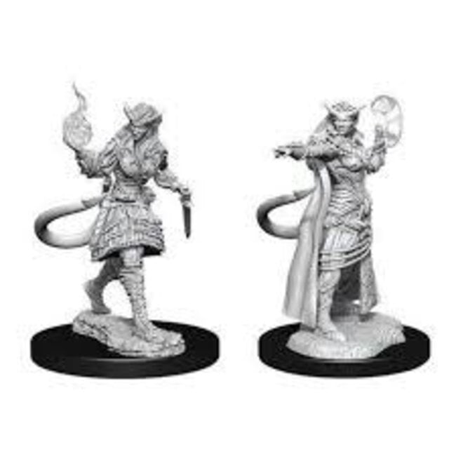 Tiefling Sorcerer Female W15