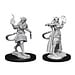 WizKids Tiefling Sorcerer Female W15