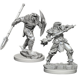 WizKids Dragonborn Fighter Male W5