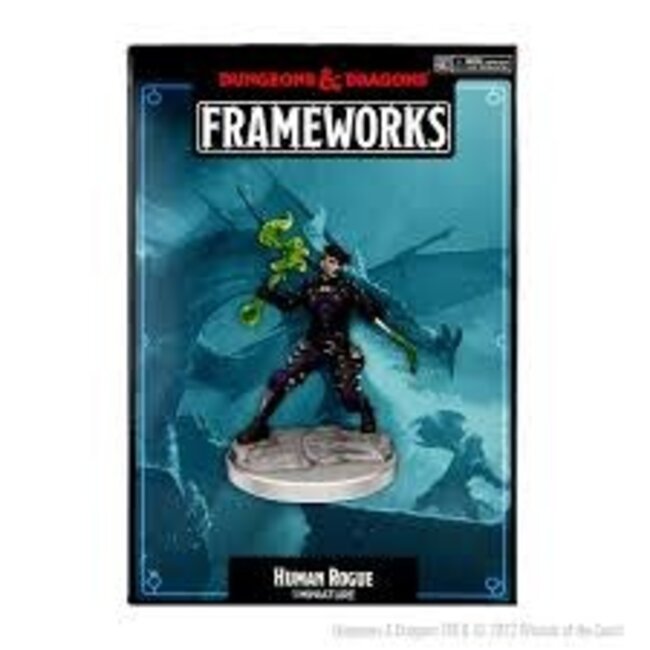 Dungeons & Dragons Frameworks: Human Rogue Female W1