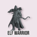 Galaad Male Elf Warrior G2