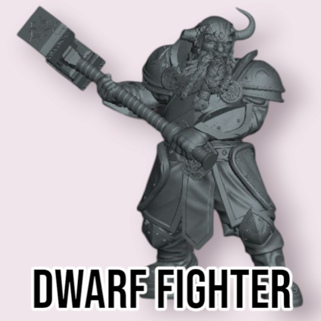 Male Dwarf Fighter PC1