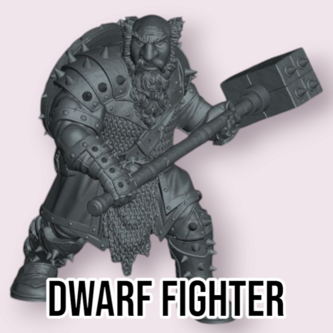 Male Dwarf Fighter PC4