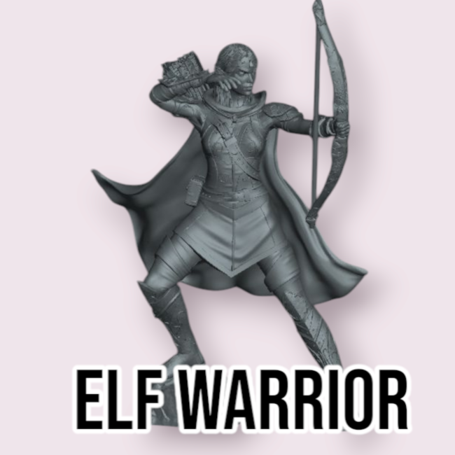 Female Elf Warrior  PC1