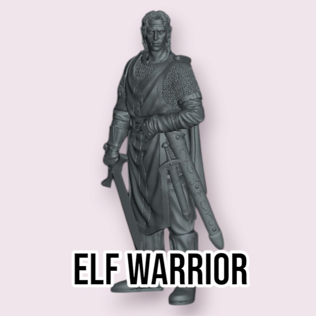 Male Elf Warrior  PC1