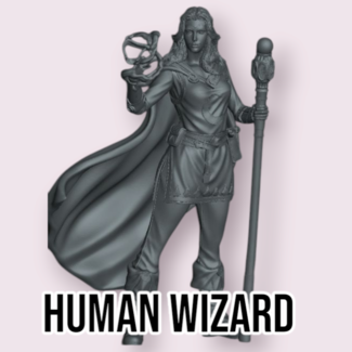 Primal Collectibles Female Human Wizard PC1