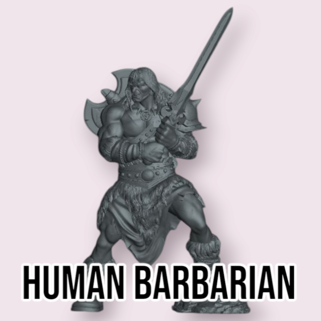 Male Human Barbarian PC1