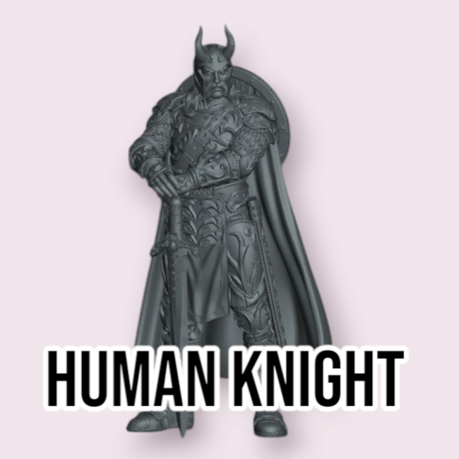Male Human Knight PC1