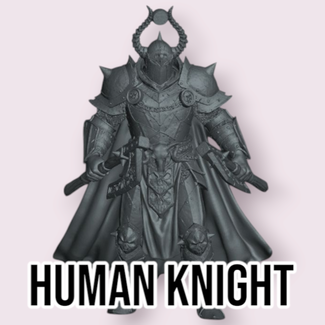 Male Human Knight PC2