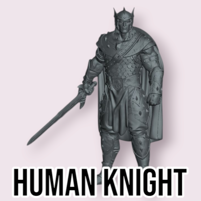 Male Human Knight PC3