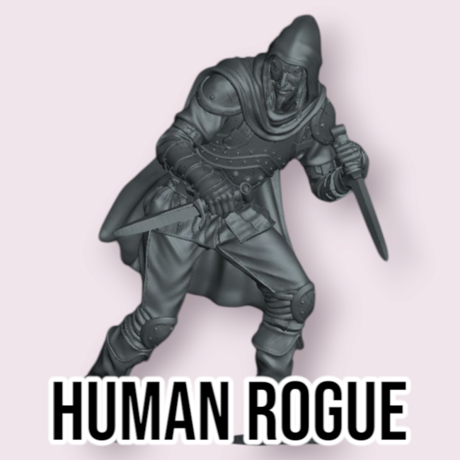 Male Human Rogue PC1