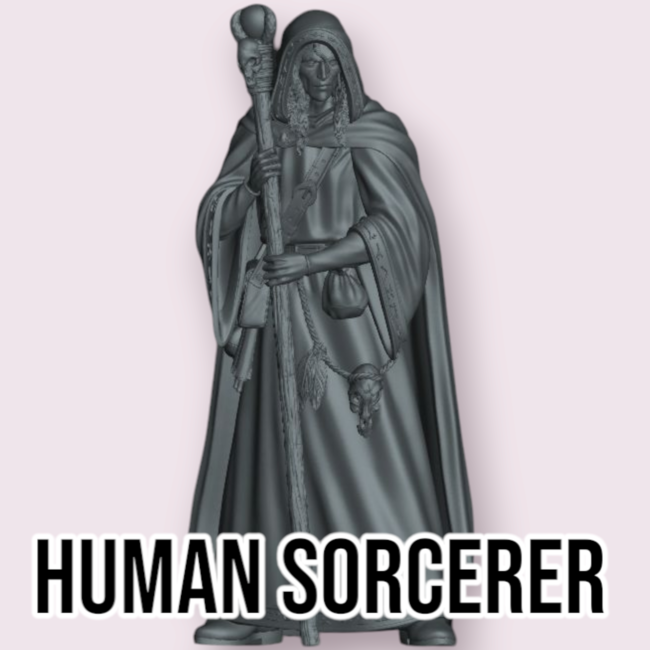 Male Human Sorcerer PC1