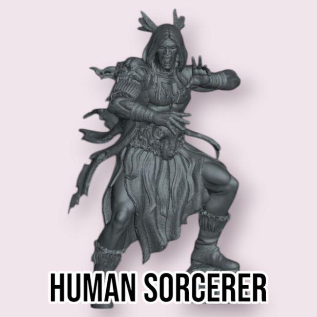 Male Human Sorcerer PC2