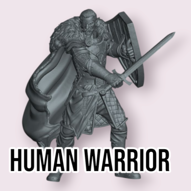 Male Human Warrior PC1