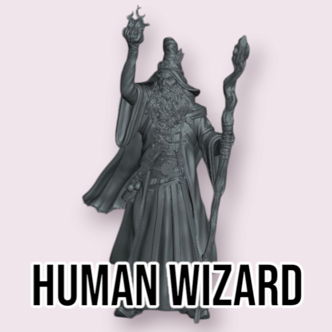 Male Human Wizard PC1