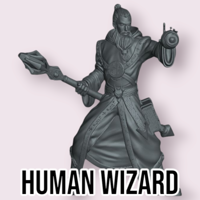 Male Human Wizard PC2