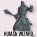 Primal Collectibles Male Human Wizard PC2