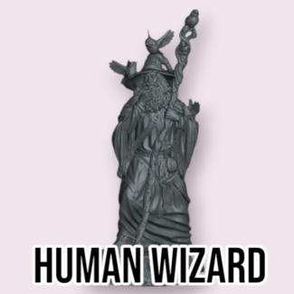 Primal Collectibles Male Human Wizard PC3