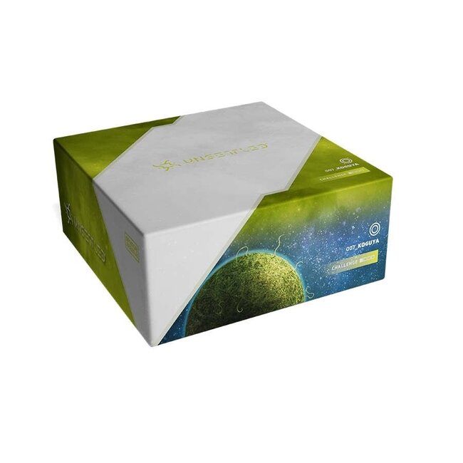 UNSETTLED: 007 KOGUYA