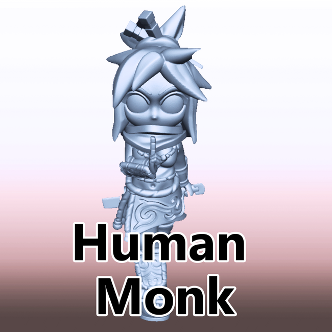 Female Human Monk DP1