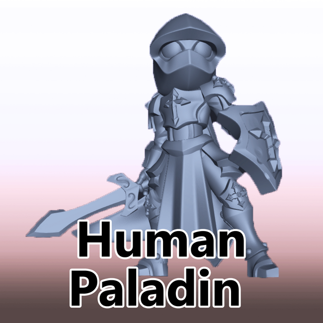 Female Human Paladin DP1