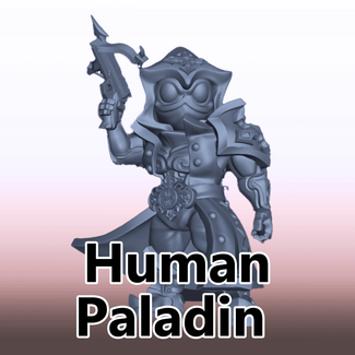 Deathpunk Studio Male Human Paladin DP1