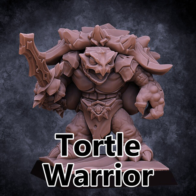 Male Tortle Warrior DP1