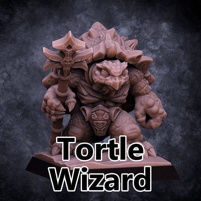 Male Tortle Wizard DP1