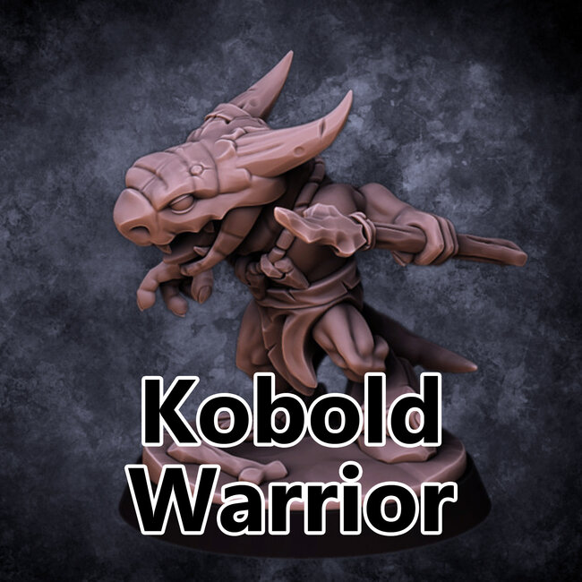 Male Kobold Warrior DP6