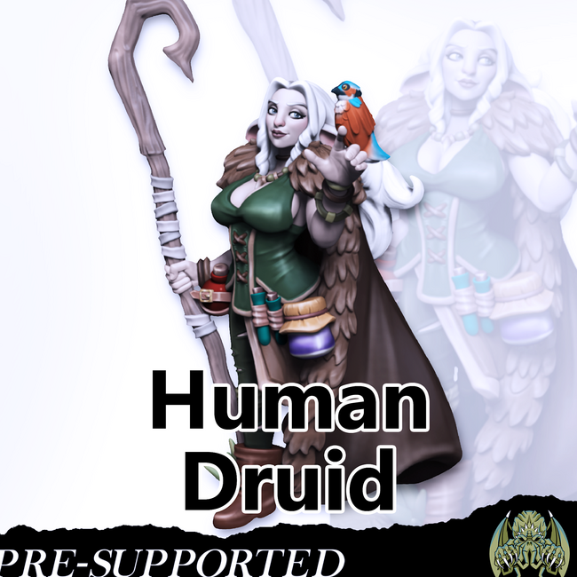 Human Female Druid MM1