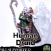 Miniatures of Madness Human Female Druid MM1
