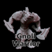Miniatures of Madness Gnoll Warrior MM1