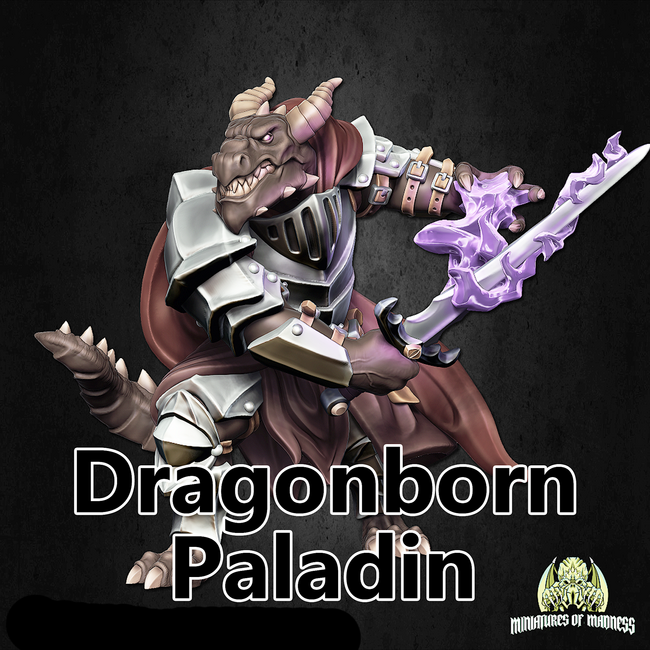 Male Dragonborn Paladin MM1