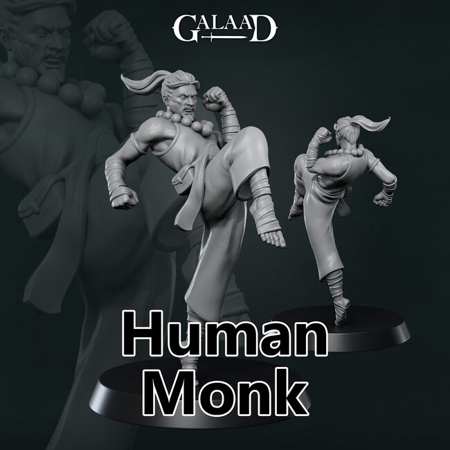 Male Human Monk G1