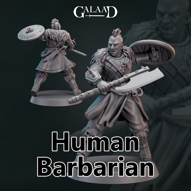 Male Human Barbarian G2