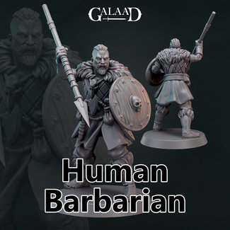 Galaad Male Human Barbarian G3