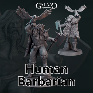 Galaad Male Human Barbarian G4