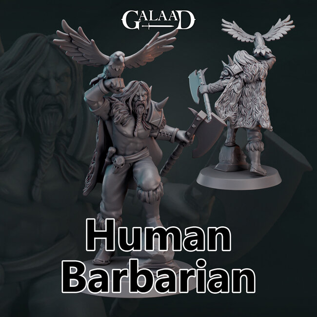 Male Human Barbarian G4