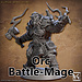 Artisan Guild Male Orc Battle-Mage AG1