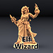 Female Elf Wizard AG1