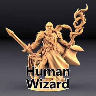 Artisan Guild Male Human Wizard AG1