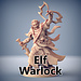 Artisan Guild Male Elf Warlock AG1
